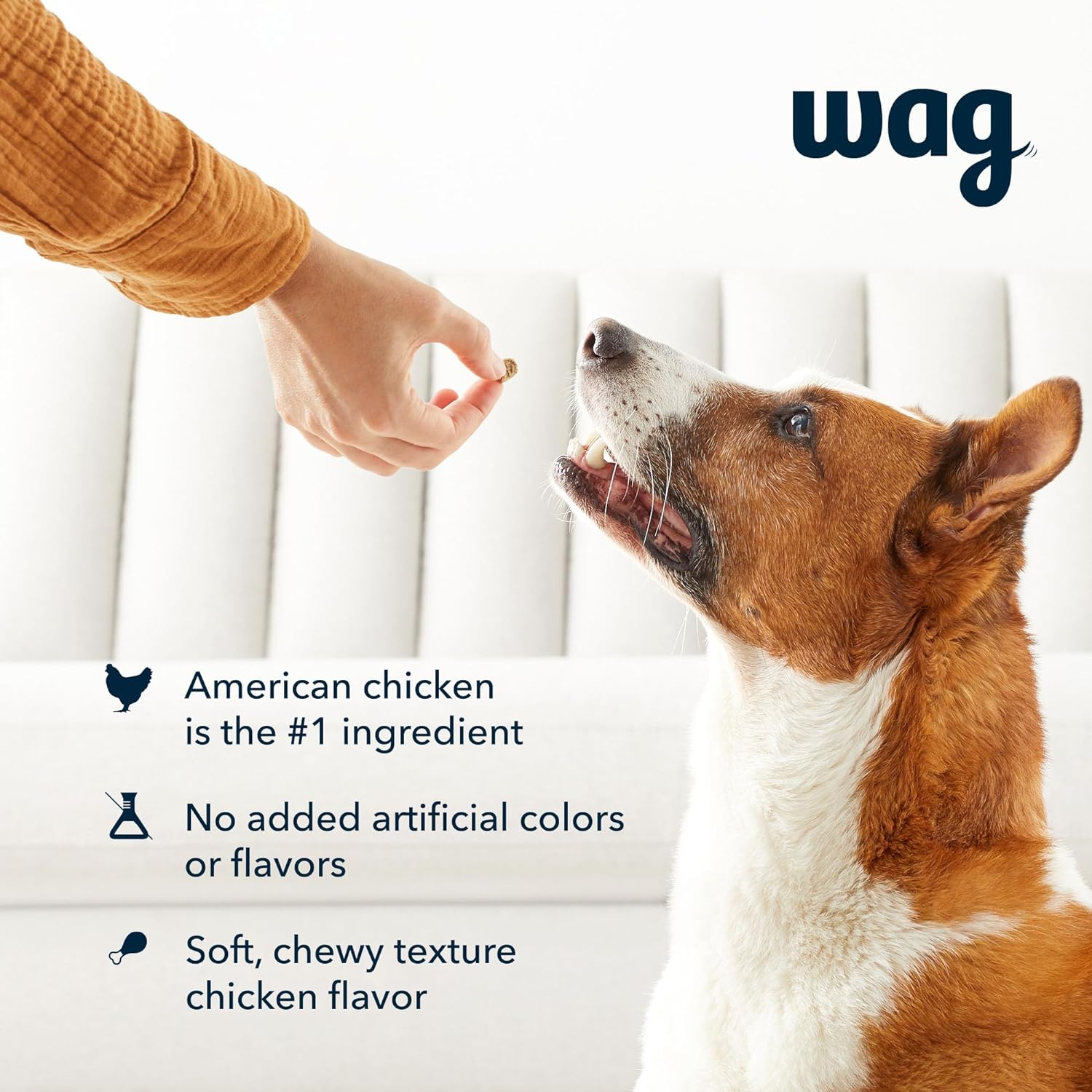 Amazon Brand – Wag Chicken Flavor Training Treats for Dogs, 1 lb. Bag (16 oz)