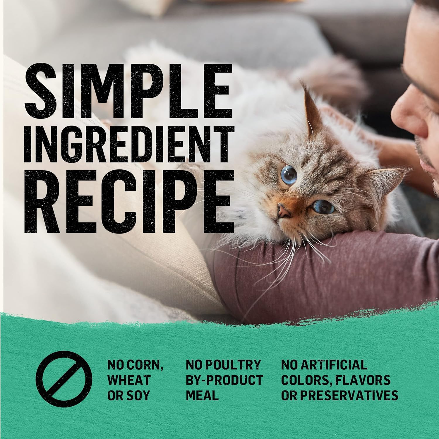 Purina Beyond Grain Free, Natural Dry Cat Food, Simply Grain Free Wild Caught Whitefish & Cage Free Egg Recipe - 5 lb. Bag