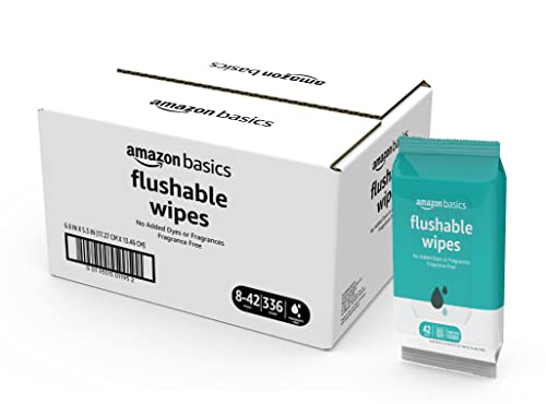 Amazon Basics Flushable Adult Toilet Wipes, Fragrance Free, 126 Count (3 Packs of 42) Packaging May Vary