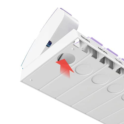 EZY DOSE Weekly (7-Day) AM/PM Pill Case, Medicine Planner, Vitamin Organizer Box, Small Pop-out Compartments, 2 Times a Day, Blue and Purple Lids, BPA Free