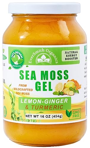 Wildcrafted Irish Sea Moss Gel | Made in USA | Rich in Vitamins & Minerals | Sea Moss Gel Organic Raw | Nutritional Supplement | Mango Pineapple (16 oz)