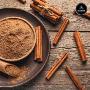 Ceylon Cinnamon Powder (1lb), Ground Premium Quality by Naturevibe Botanicals | Gluten-Free, Keto Friendly & Non-GMO (16 ounces)