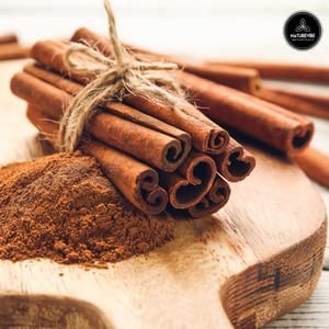 Ceylon Cinnamon Powder (1lb), Ground Premium Quality by Naturevibe Botanicals | Gluten-Free, Keto Friendly & Non-GMO (16 ounces)