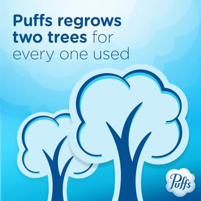 Puffs Plus Lotion Facial Tissue, 1 Family Box, 124 Tissues Per Box