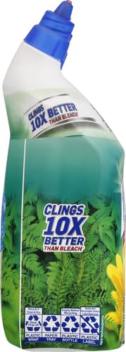 Lysol Toilet Bowl Cleaner Gel, For Cleaning and Disinfecting, Stain Removal, Forest Rain Scent, 24oz (Pack of 2)