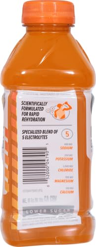 Gatorlyte Rapid Rehydration Electrolyte Beverage, 3 Flavor Variety Pack, 20 Fl Oz (Pack of 12)