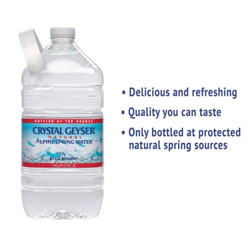 Alpine Spring Water,16.9 Fl Oz (Pack of 35),Bottled at the Source (075140350018)