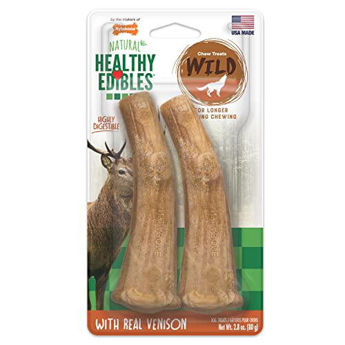 Nylabone Healthy Edibles WILD Natural Long-Lasting Bison Flavor Bone Chew Treats for Dogs, Medium (2 Count)