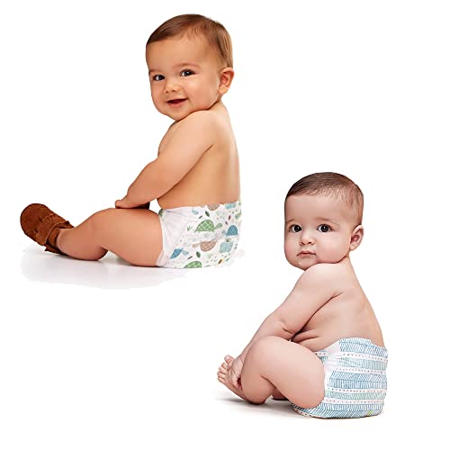 The Honest Company Clean Conscious Diapers | Plant-Based, Sustainable | Above It All + Pandas | Club Box, Size Newborn, 72 Count