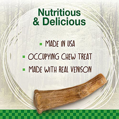 Nylabone Healthy Edibles WILD Natural Long-Lasting Bison Flavor Bone Chew Treats for Dogs, Medium (2 Count)