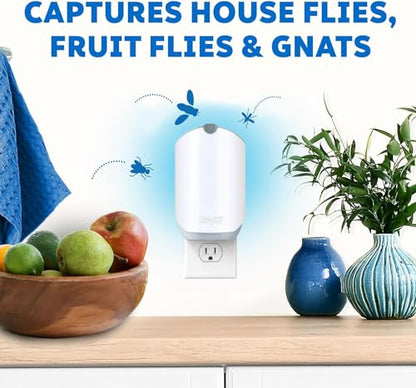 Zevo Flying Insect Trap, Fly Trap, Fruit Fly Trap (2 Plug-in Bases + 2 Refill Cartridges)