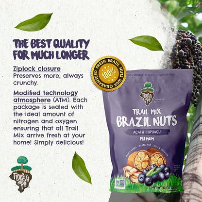 Floresta em Pé The True Organic Premium Brazil Nuts (15oz) Raw & Unsalted | Kosher | Non-Gmo | Certified Organic | Fresh | Vegan | Gluten Free | Keto & Paleo Friendly | Sustainably Harvested