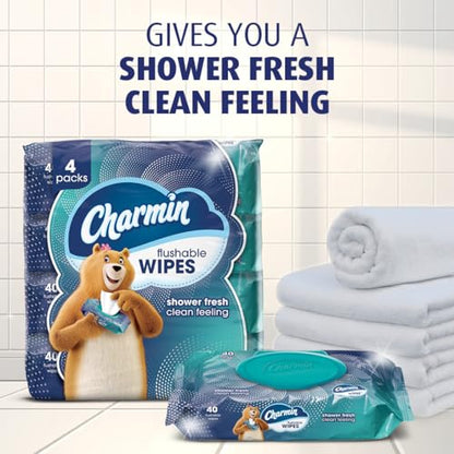 Charmin Flushable Wipes, , 40 Wipes (Pack of 4), 160 Total Wipes