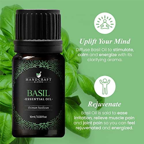 Handcraft Blends Basil Essential Oil - 100% Pure and Natural - Premium Grade Essential Oil for Diffuser and Aromatherapy - 0.33 Fl Oz - Pack of 2