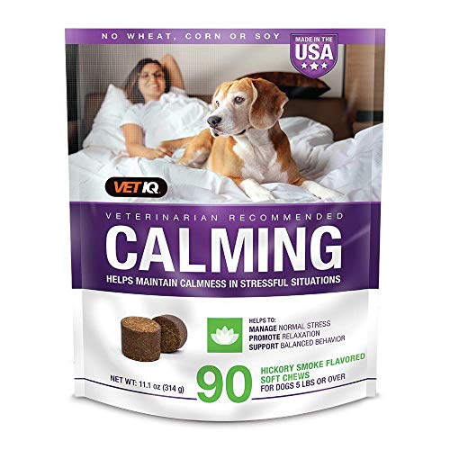 VetIQ Calming Support Supplement for Dogs, Calming Chews Help Manage Stress and Promote Relaxation, Anxiety Relief for Dogs, Made in The USA, 60 Count