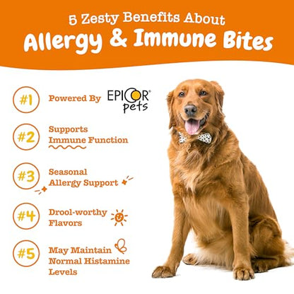 Zesty Paws Dog Allergy Relief - Anti Itch Supplement - Omega 3 Probiotics for Dogs - Digestive Health - Soft Chews for Skin & Seasonal Allergies - with Epicor Pets - Lamb - 50 Count