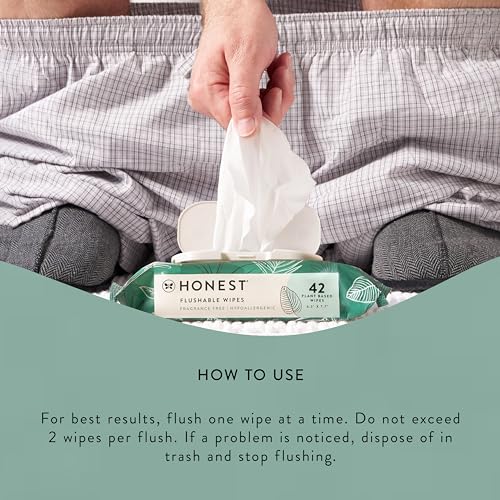 The Honest Company Plant-Based Flushable Wipes | 99% Water, Hypoallergenic, EWG Verified, Safe to Flush | Fragrance Free, 42 Count