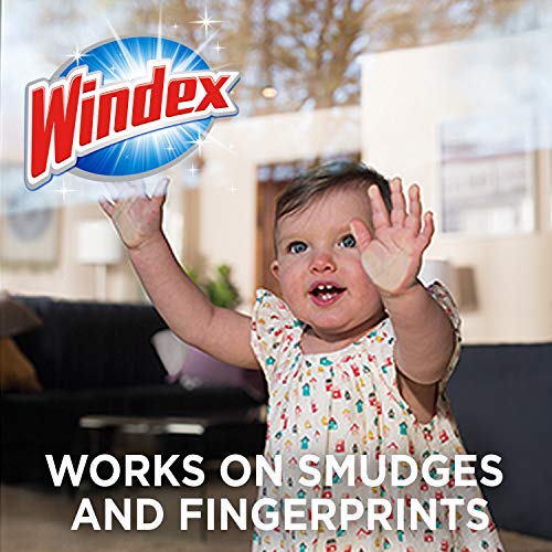 Windex Glass and Surface Pre-Moistened Wipes, Original, 38 Count