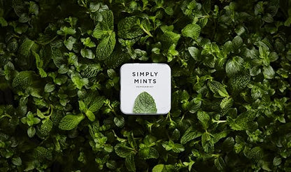 Natural Breath Mints by Simply Gum | Peppermint | Pack of Six (180 Pieces Total) | Breath Freshening, Vegan, Non-GMO, Nothing Artificial