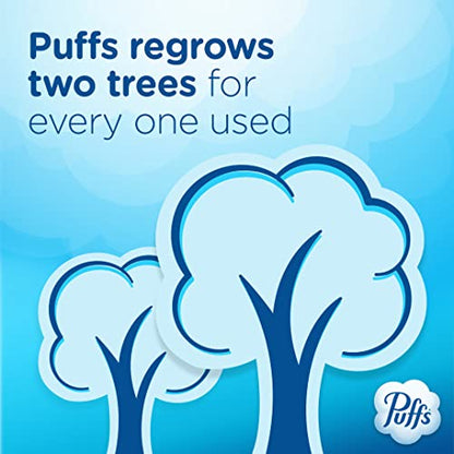 Puffs Plus Lotion Facial Tissue, 1 Family Box, 124 Tissues Per Box