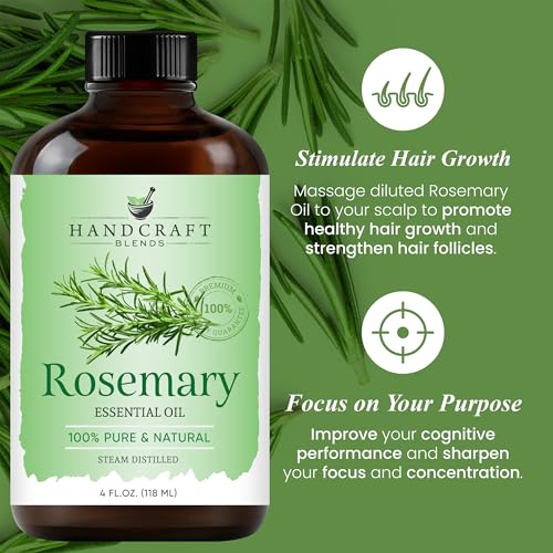 Handcraft Blends Basil Essential Oil - 100% Pure and Natural - Premium Grade Essential Oil for Diffuser and Aromatherapy - 0.33 Fl Oz - Pack of 2