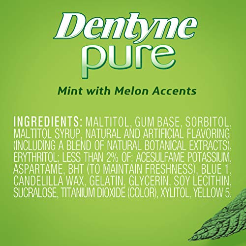 Dentyne Pure Mint with Herbal Accents Sugar Free Gum, 10 Packs of 9 Pieces (90 Total Pieces)