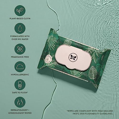 The Honest Company Plant-Based Flushable Wipes | 99% Water, Hypoallergenic, EWG Verified, Safe to Flush | Fragrance Free, 42 Count