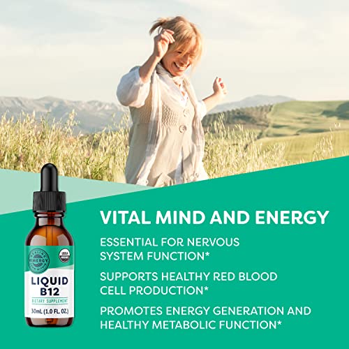 Vimergy USDA Organic B12, 30 Servings – Alcohol Free B-12 Liquid Vitamin - Supports Brain Energy, Nervous System, Cognition, Memory - No Gluten, Non-GMO, Vegan & Paleo - Naturally Sweet Flavor (30 ml)