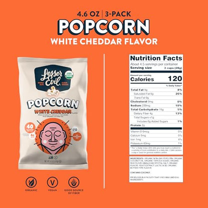 LesserEvil Himalayan Pink Salt Organic Popcorn, Premium Quality, Minimally Processed, No Vegetable Oil, 0.46 Oz, Pack of 24