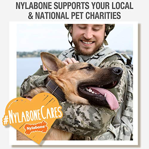 Nylabone Healthy Edibles WILD Natural Long-Lasting Bison Flavor Bone Chew Treats for Dogs, Medium (2 Count)