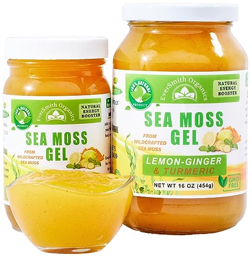 Wildcrafted Irish Sea Moss Gel | Made in USA | Rich in Vitamins & Minerals | Sea Moss Gel Organic Raw | Nutritional Supplement | Mango Pineapple (16 oz)