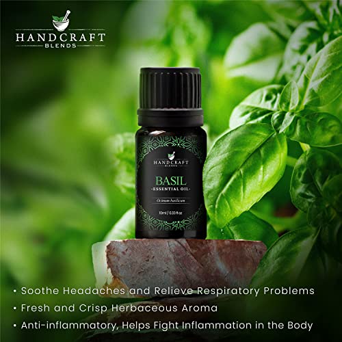 Handcraft Blends Basil Essential Oil - 100% Pure and Natural - Premium Grade Essential Oil for Diffuser and Aromatherapy - 0.33 Fl Oz - Pack of 2