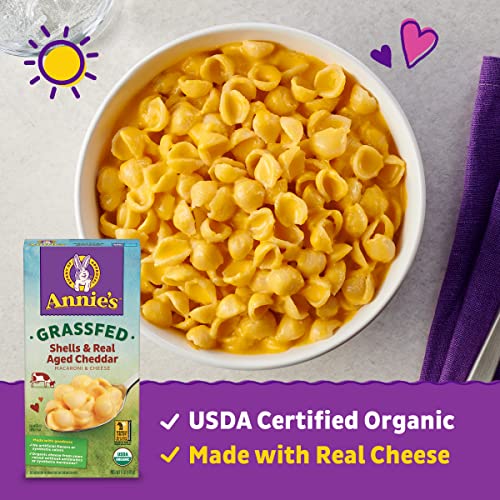 Annie's White Cheddar Shells Macaroni and Cheese with Organic Pasta, 6 oz (Pack of 12)