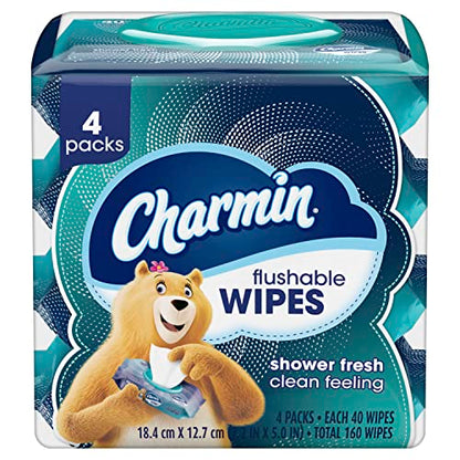 Charmin Flushable Wipes, , 40 Wipes (Pack of 4), 160 Total Wipes