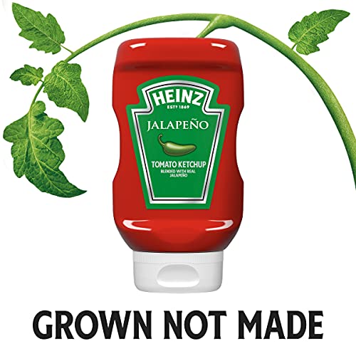 Heinz Tomato Ketchup (32 oz Bottle)