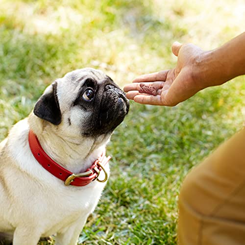 Milk-Bone Peanut Butter Flavor Dog Treats for Small Dogs, 7 Pound, Crunchy Texture Helps Freshen Breath