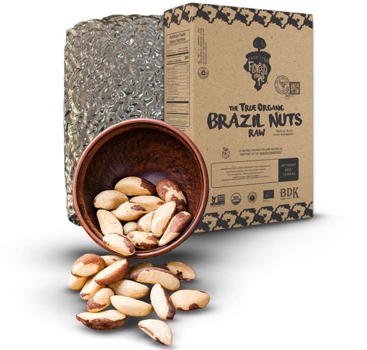 Floresta em Pé The True Organic Premium Brazil Nuts (15oz) Raw & Unsalted | Kosher | Non-Gmo | Certified Organic | Fresh | Vegan | Gluten Free | Keto & Paleo Friendly | Sustainably Harvested