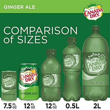 Canada Dry Zero Sugar Ginger Ale Soda, 12 fl oz cans (Pack of 12)