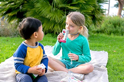 Hint Kids Water Variety, 8 Boxes, Each of: Cherry, Watermelon, Apple, & Blackberry, Zero Sugar, Zero Sweeteners, Zero Preservatives, Zero Artificial Flavors, 6.75 Fl Oz (Pack of 32)