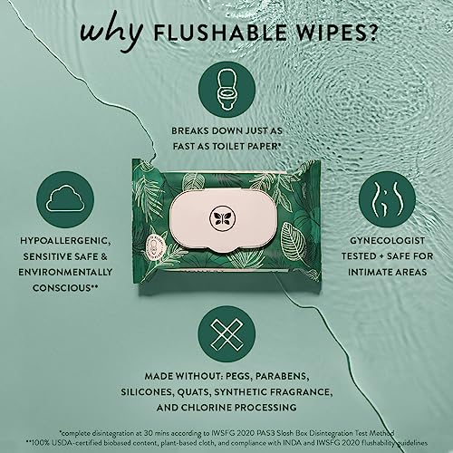 The Honest Company Plant-Based Flushable Wipes | 99% Water, Hypoallergenic, EWG Verified, Safe to Flush | Fragrance Free, 42 Count