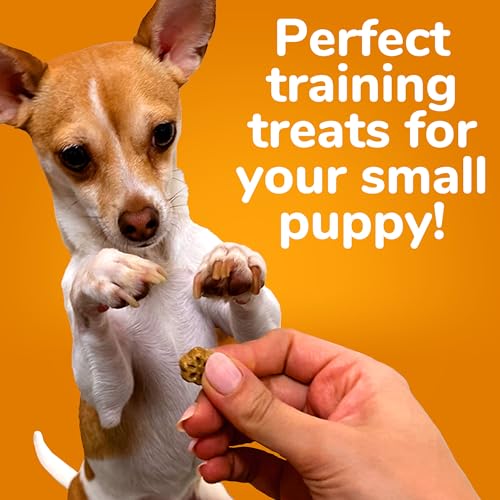 Fruitables Skinny Mini Dog Treats – Healthy Treats for Dogs – Low Calorie Training Treats – Free of Wheat, Corn and Soy – Apple Bacon – 5 Ounces