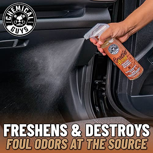 Chemical Guys AIR_101_16 New Car Smell Premium Air Freshener and Odor Eliminator, Long-Lasting Scent, Great for Cars, Trucks, SUVs, RVs & More, 16 fl oz