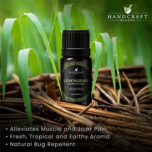 Handcraft Blends Basil Essential Oil - 100% Pure and Natural - Premium Grade Essential Oil for Diffuser and Aromatherapy - 0.33 Fl Oz - Pack of 2