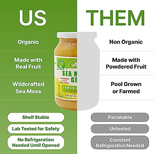 Wildcrafted Irish Sea Moss Gel | Made in USA | Rich in Vitamins & Minerals | Sea Moss Gel Organic Raw | Nutritional Supplement | Mango Pineapple (16 oz)