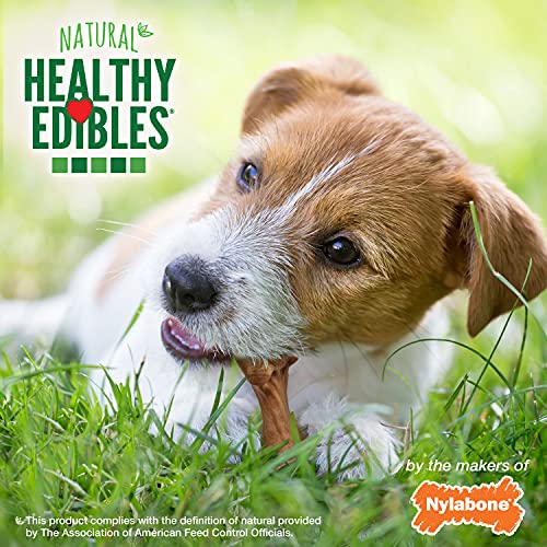 Nylabone Healthy Edibles WILD Natural Long-Lasting Bison Flavor Bone Chew Treats for Dogs, Medium (2 Count)