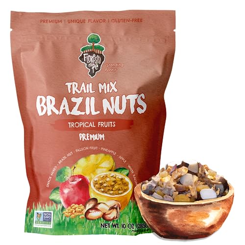 Floresta em Pé The True Organic Premium Brazil Nuts (15oz) Raw & Unsalted | Kosher | Non-Gmo | Certified Organic | Fresh | Vegan | Gluten Free | Keto & Paleo Friendly | Sustainably Harvested