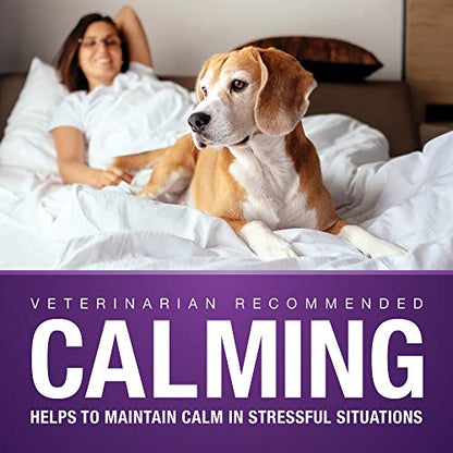 VetIQ Calming Support Supplement for Dogs, Calming Chews Help Manage Stress and Promote Relaxation, Anxiety Relief for Dogs, Made in The USA, 60 Count