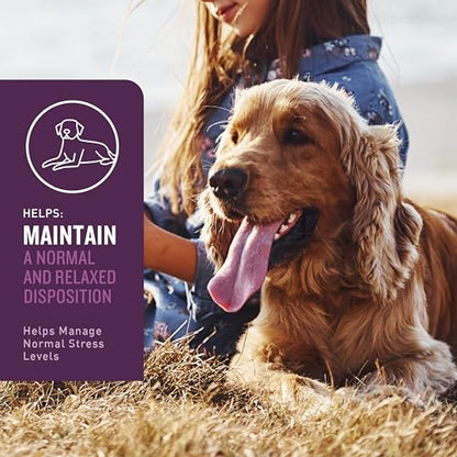 VetIQ Calming Support Supplement for Dogs, Calming Chews Help Manage Stress and Promote Relaxation, Anxiety Relief for Dogs, Made in The USA, 60 Count