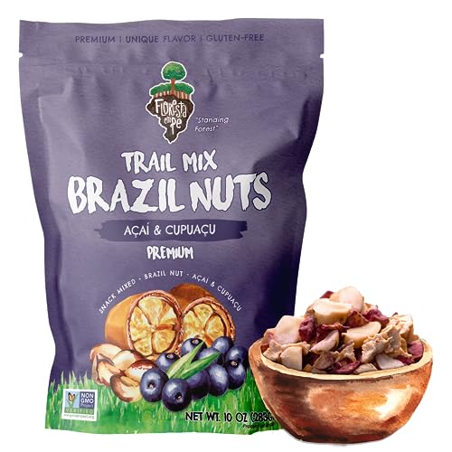 Floresta em Pé The True Organic Premium Brazil Nuts (15oz) Raw & Unsalted | Kosher | Non-Gmo | Certified Organic | Fresh | Vegan | Gluten Free | Keto & Paleo Friendly | Sustainably Harvested