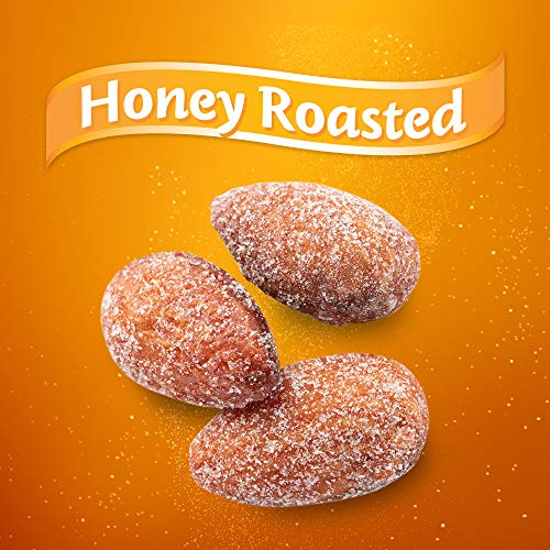 Blue Diamond Almonds Honey Roasted Snack Almonds, Honey Roasted, 1 Pound (Pack of 1)